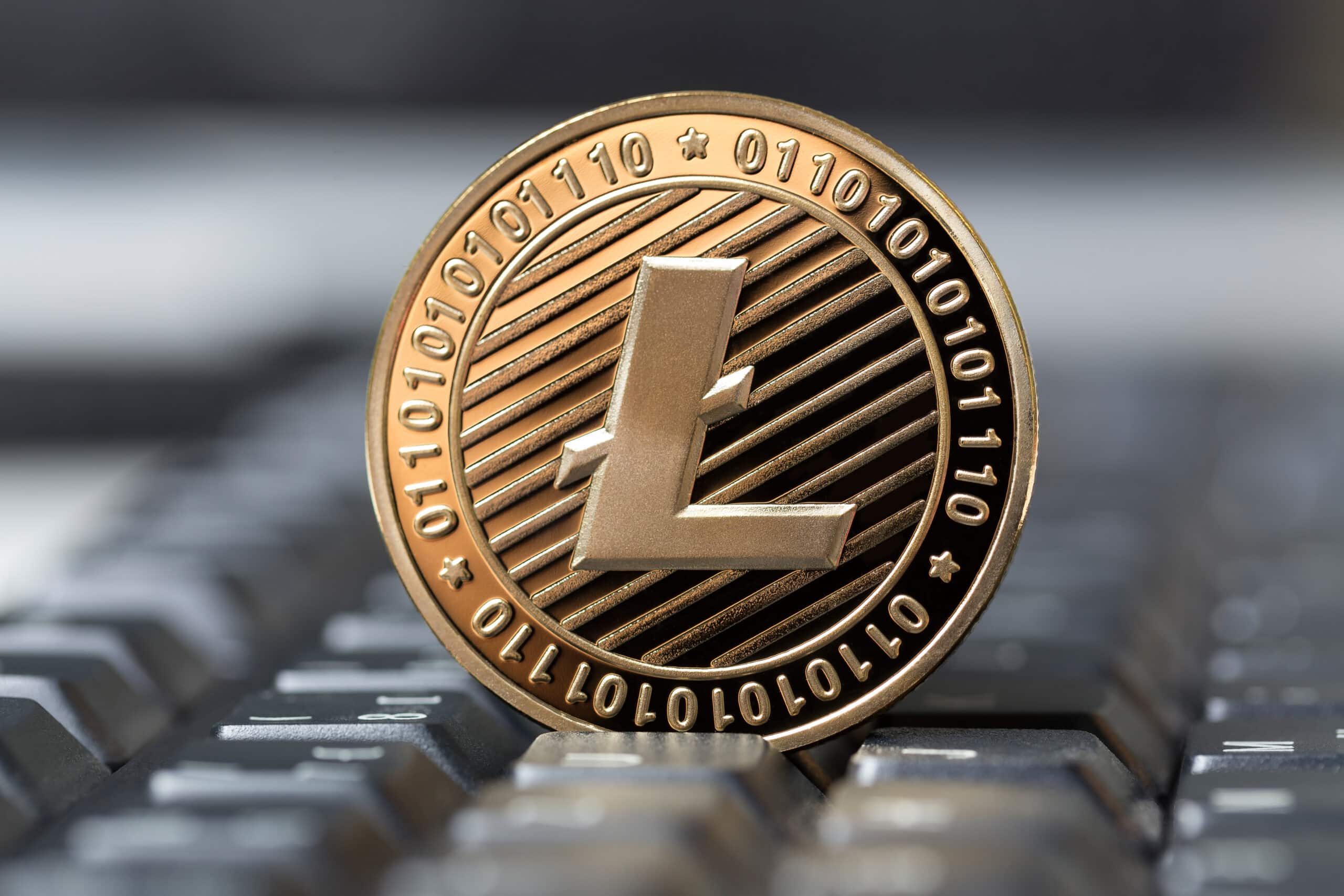 How Many Litoshi in a Litecoin? - Crypto Head