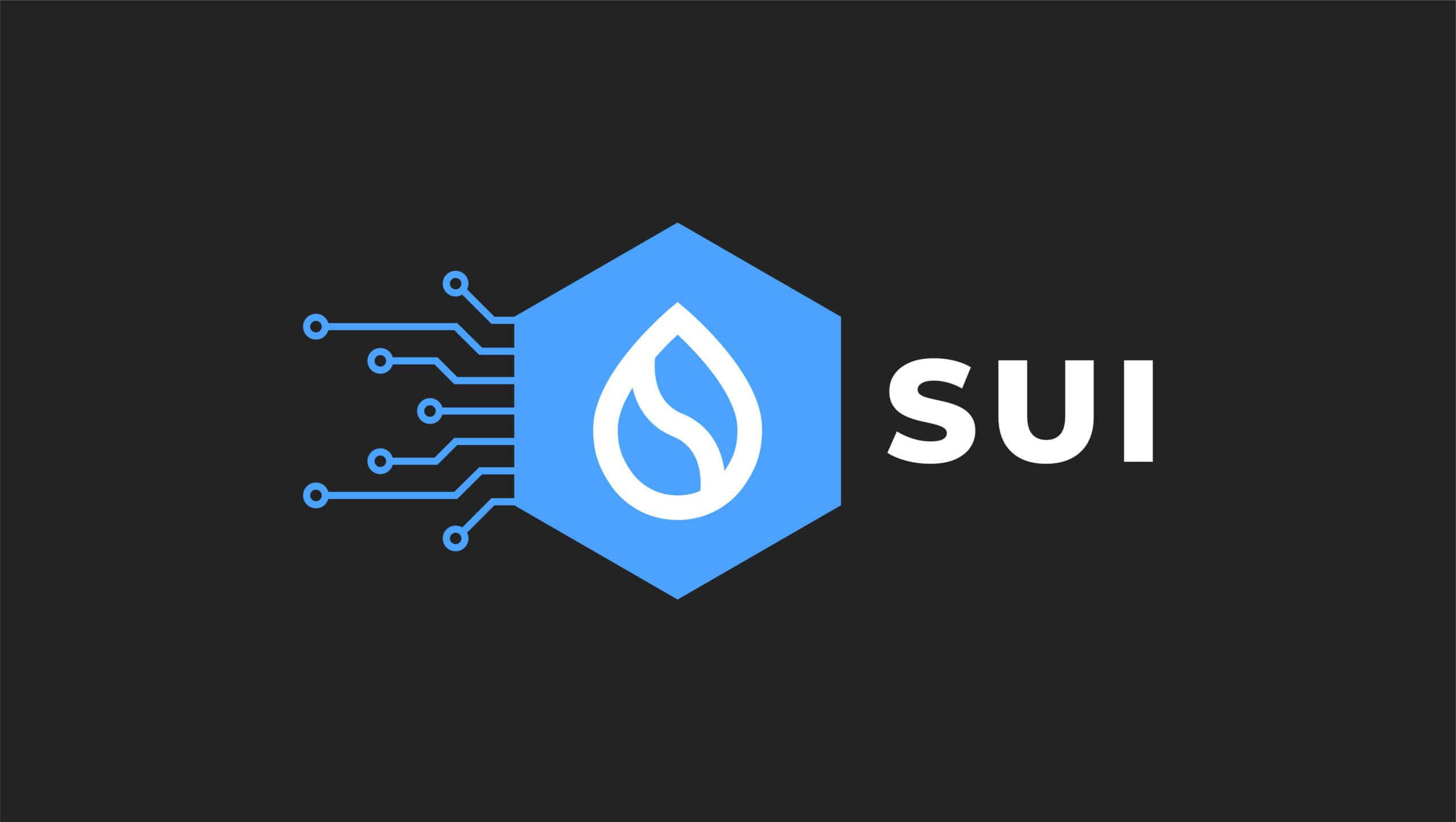 Sui Crypto [SUI] Explained Simply For Beginners