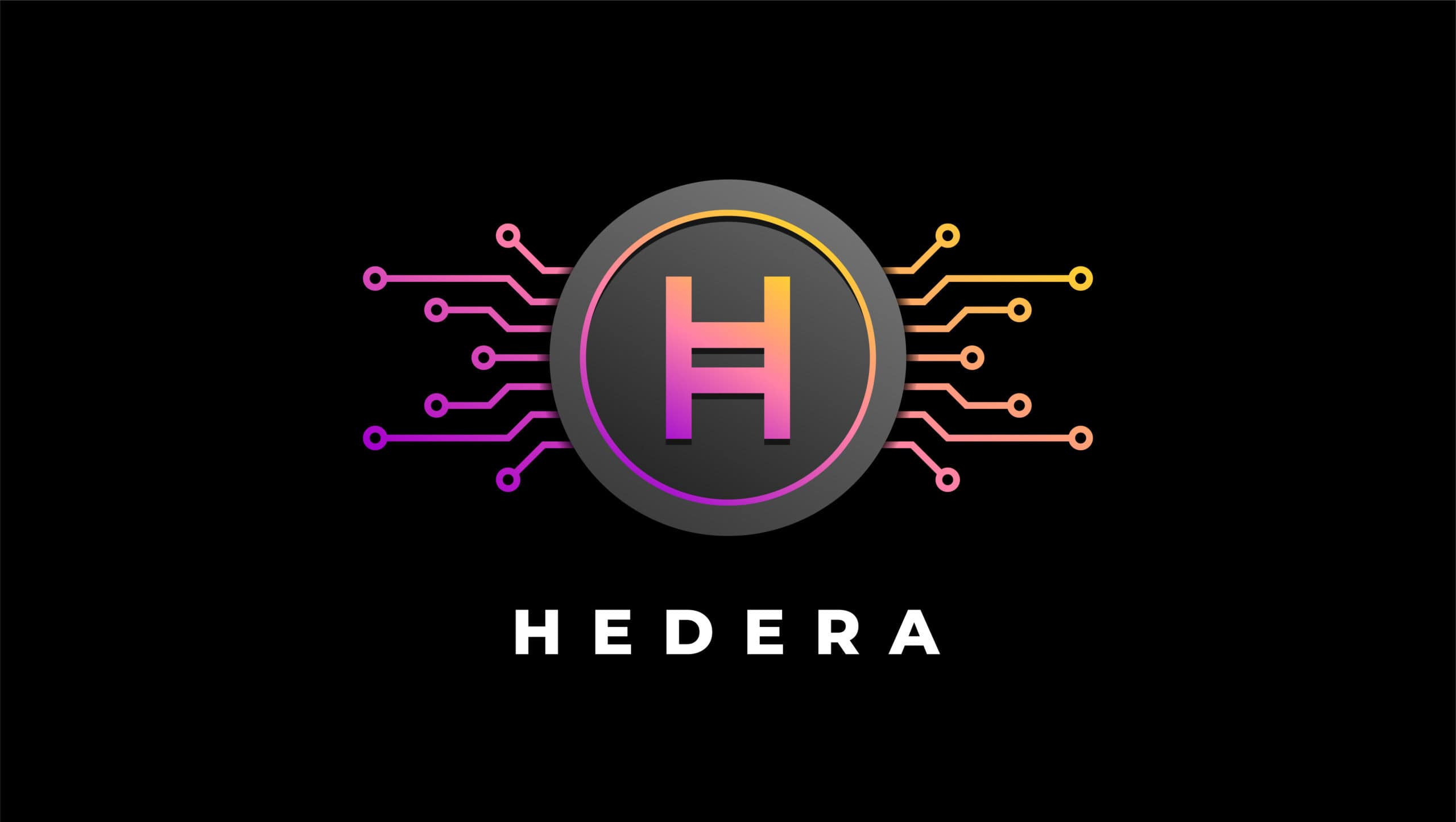 What is Hedera Hashgraph? HBAR Explained with Animations