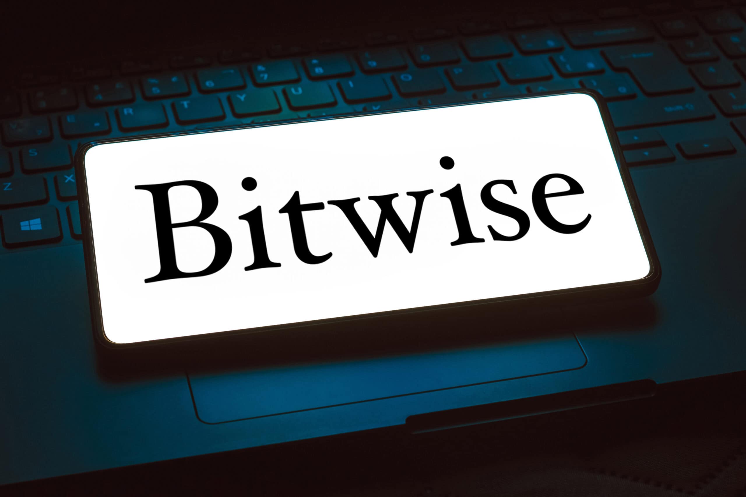 Bitwise CIO Predicts Major Demand Coming from Countries and Institutions