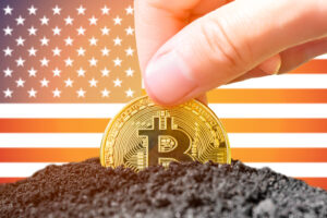 Bitcoin in hands on the background of the American flag.